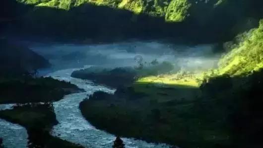 昆汀死人最多的电影是？数据说话